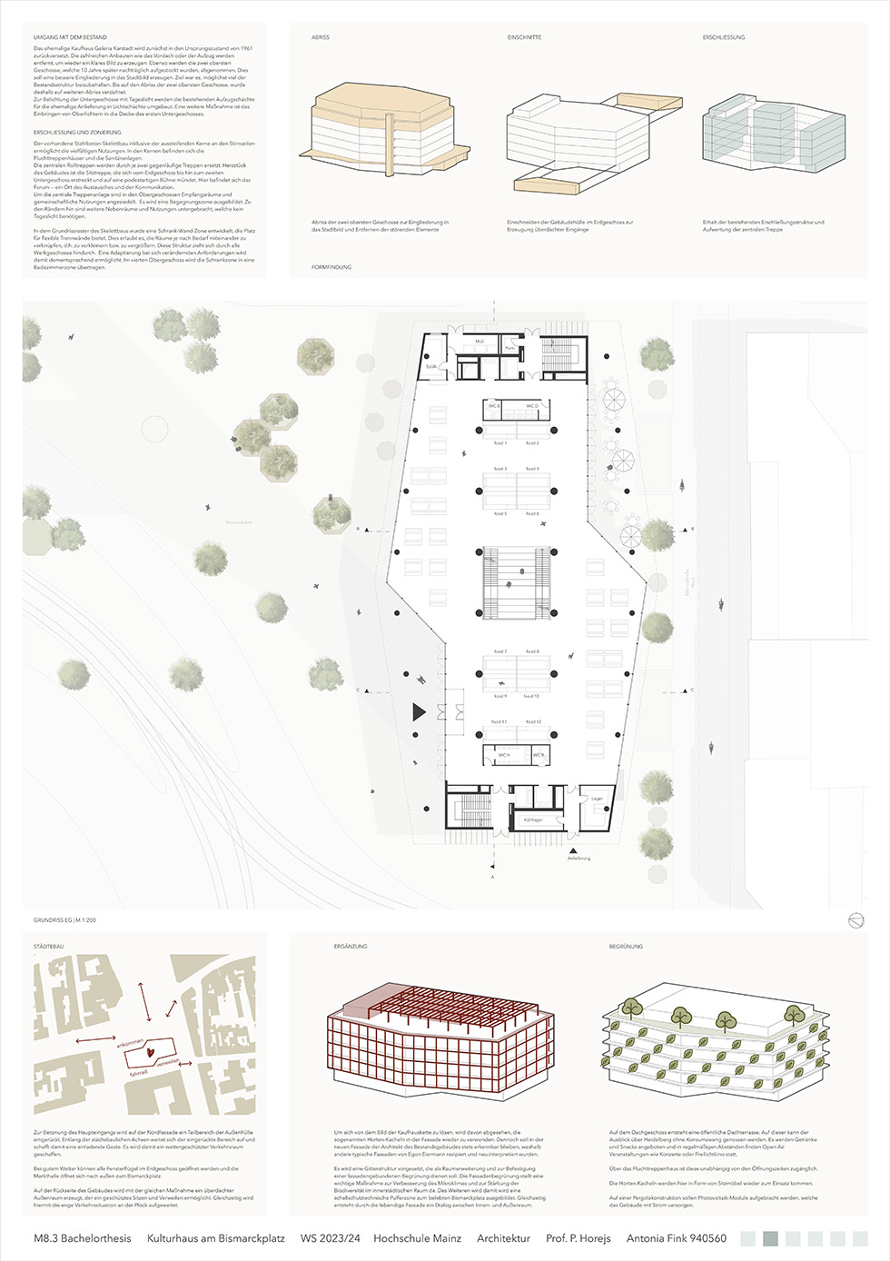 Plan Bachelorthesis Fink