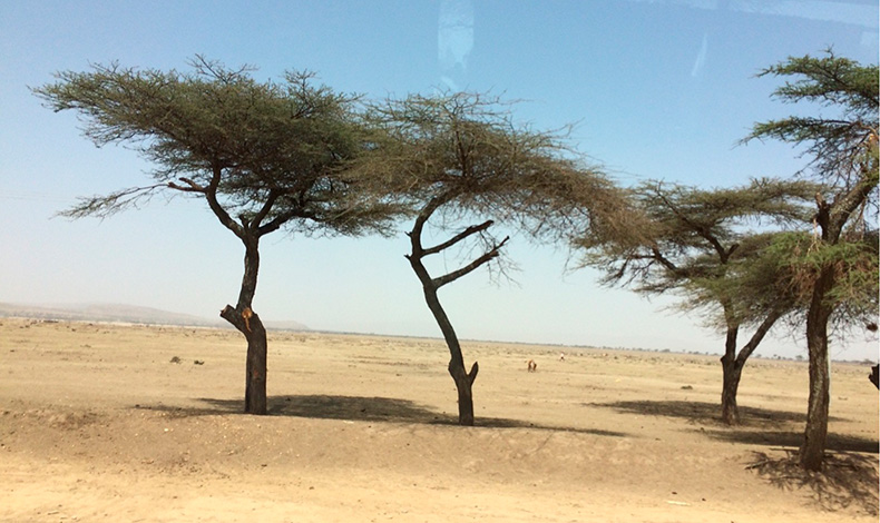 Trockenzeit in Äthiopien